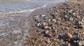 Крымский антистресс. Море - наш природный доктор, который предоставит полное меню лечебных программ, направленных на ментальное здоровье