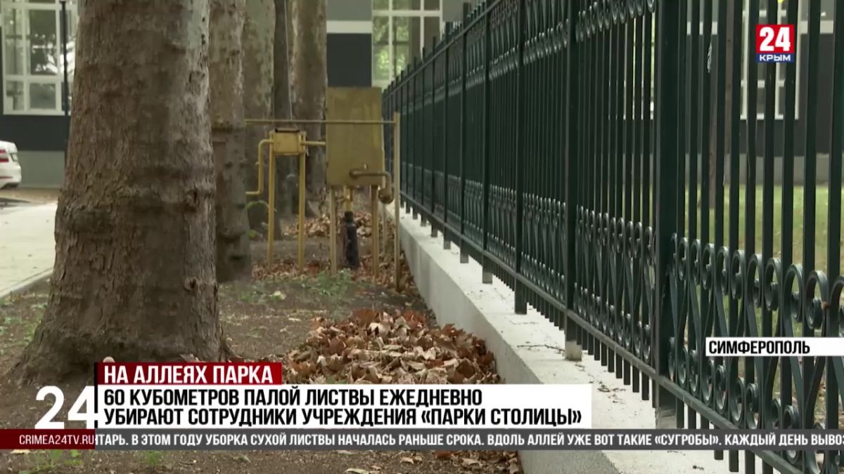 В парках и скверах Симферополя началась уборка листвы