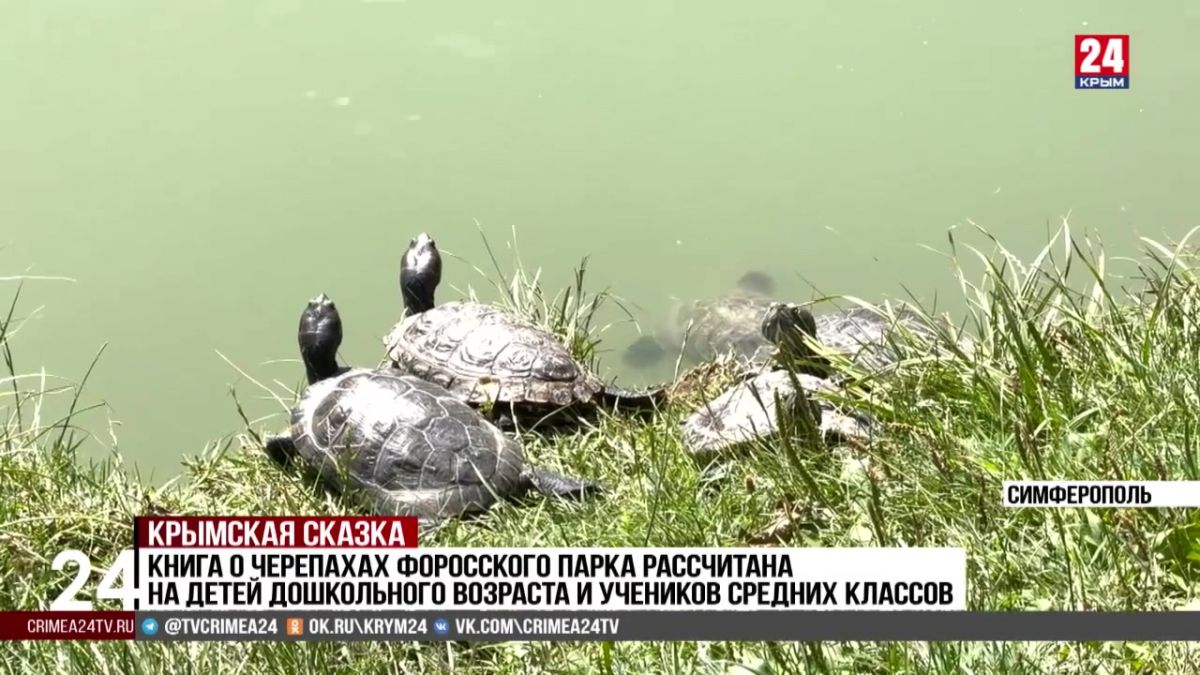 Сказку-миф про красноухих черепах Форосского парка издали в Крыму
