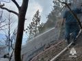 В Крыму продолжают бороться с лесным пожаром в Ялте
