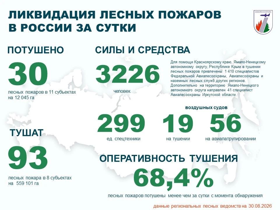 За прошедшие сутки в России потушено 30 лесных пожаров в 11 регионах