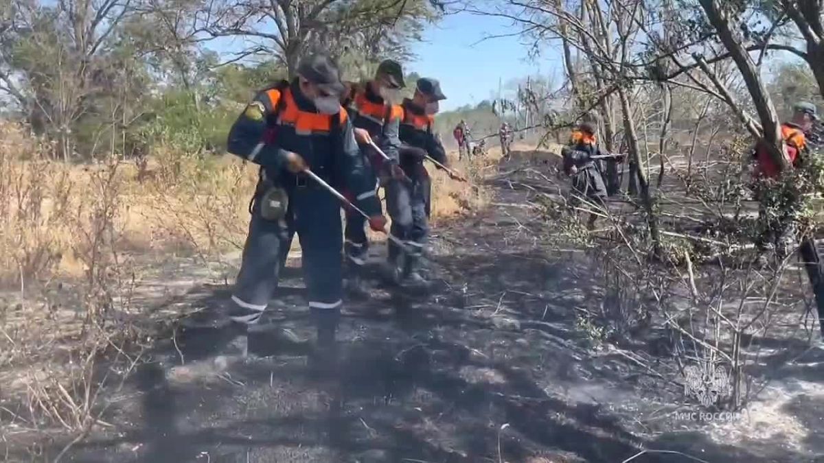Под Симферополем тушили ландшафтный пожар