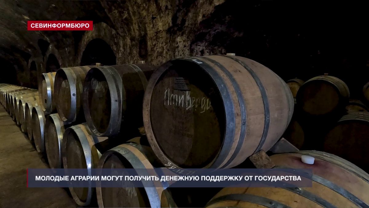 Основные события недели в Севастополе: 24 – 30 августа Основные события недели в Севастополе: 24 – 30 августа