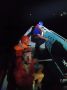 Спасатели сняли с моря у мыса Айя четверых сапбордистов