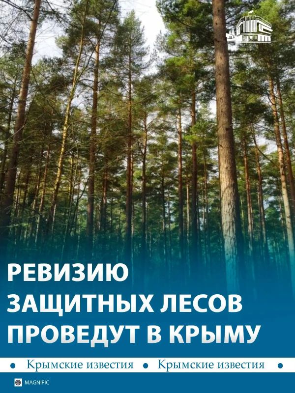 В Крыму пересмотрят границы защитных лесов
