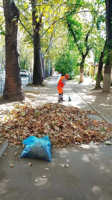 Делаем город комфортнее. Уборка городских территорий ведется ежедневно, без перерывов и выходных Делаем город комфортнее. Уборка городских территорий ведется ежедневно, без перерывов и выходных