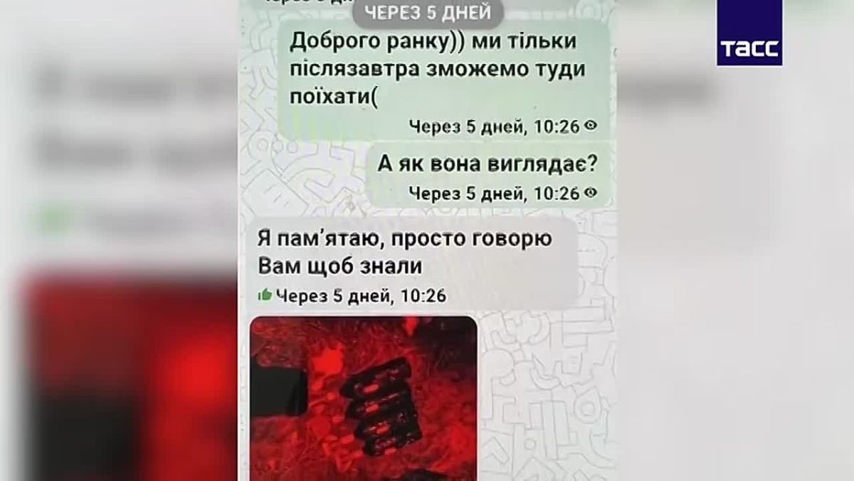 Задержаны два жителя Крыма 1968 и 1974 годов рождения — они делали схроны с бомбами для терактов