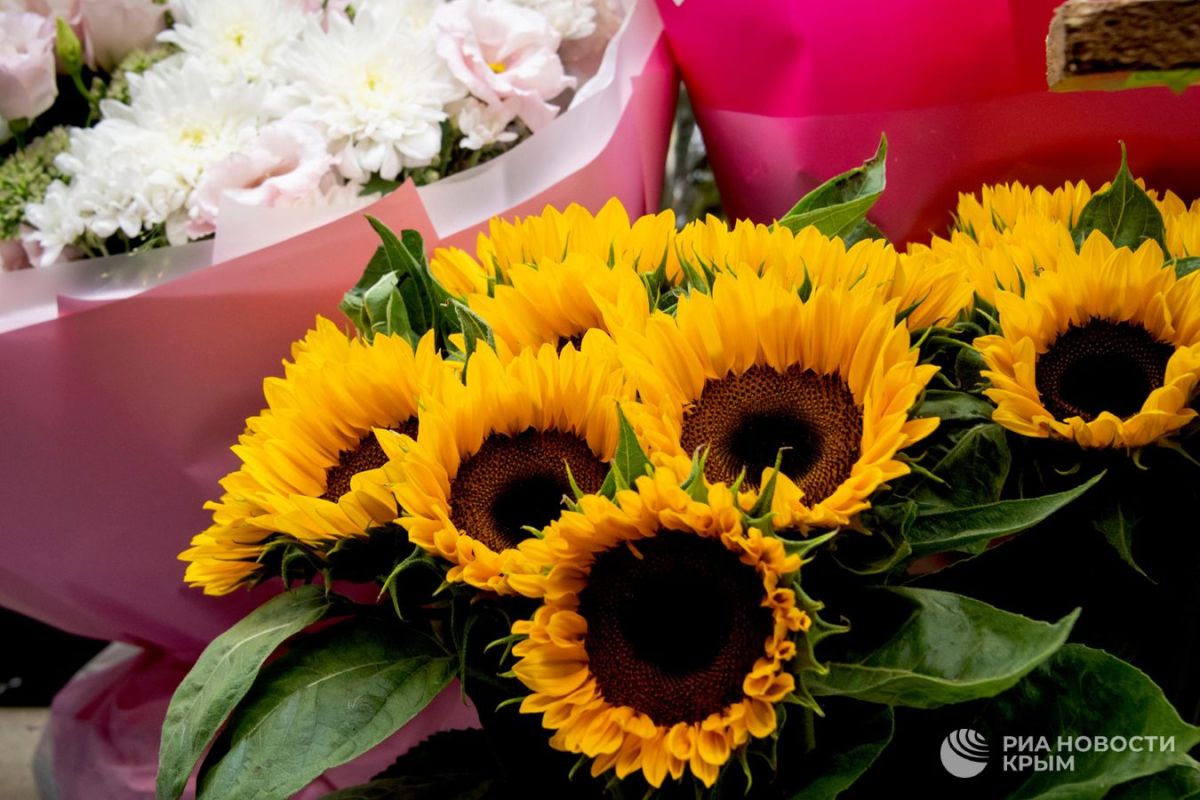 Цены на цветы в Крыму к 1 сентября: во сколько обойдется букет Цены на цветы в Крыму к 1 сентября: во сколько обойдется букет