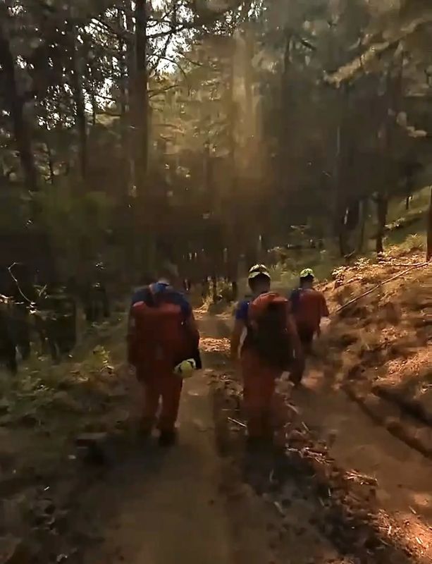 Тушение лесного пожара в Ялте продолжается