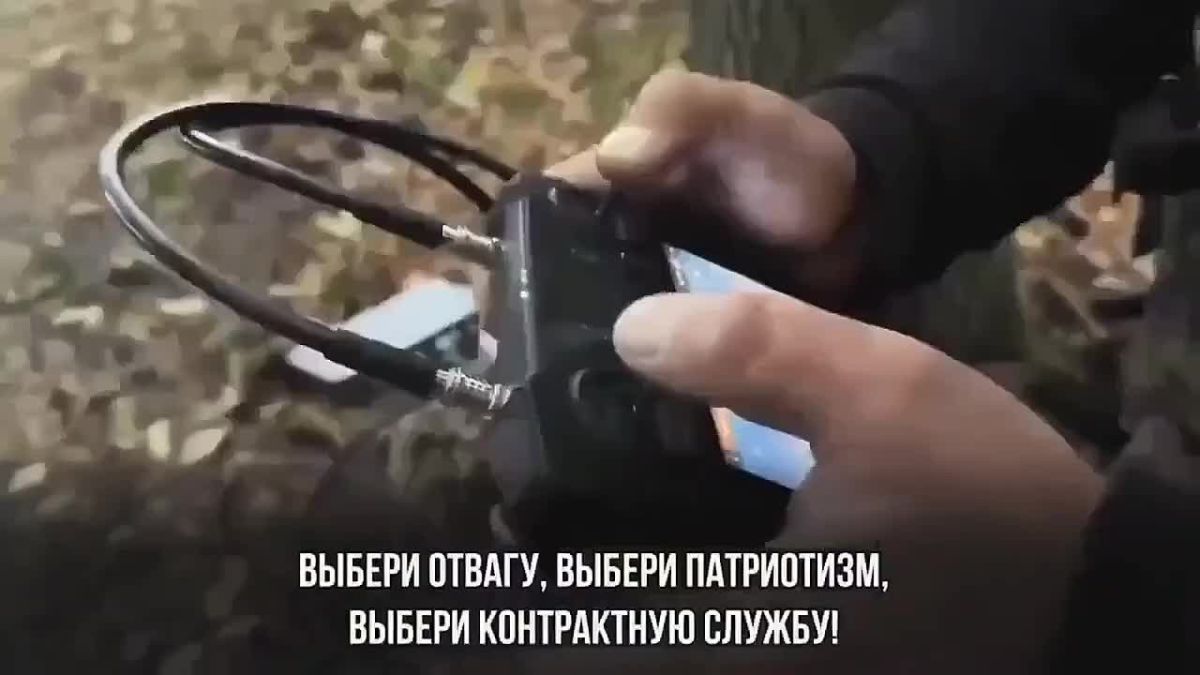 Сильный характер, мужество и честь — вот главные качества защитников Родины!