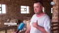 День ветеринарного работника отмечают сегодня в России