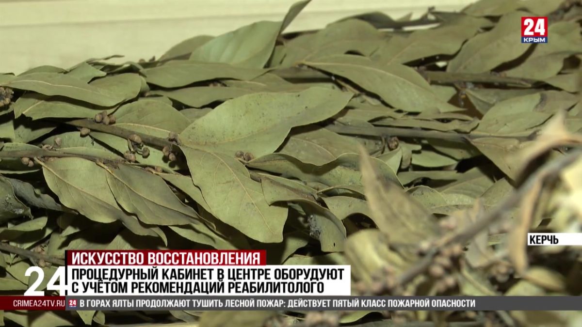 Творческая молодёжь помогает строить центр для бойцов СВО под Керчью