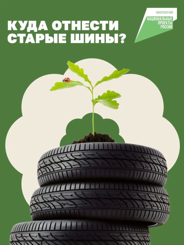 Нельзя просто так взять и выбросить шины в мусорный контейнер