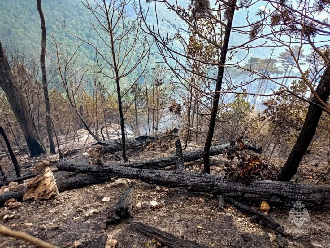 Лесной пожар в горах Ялты тушат уже 13 дней