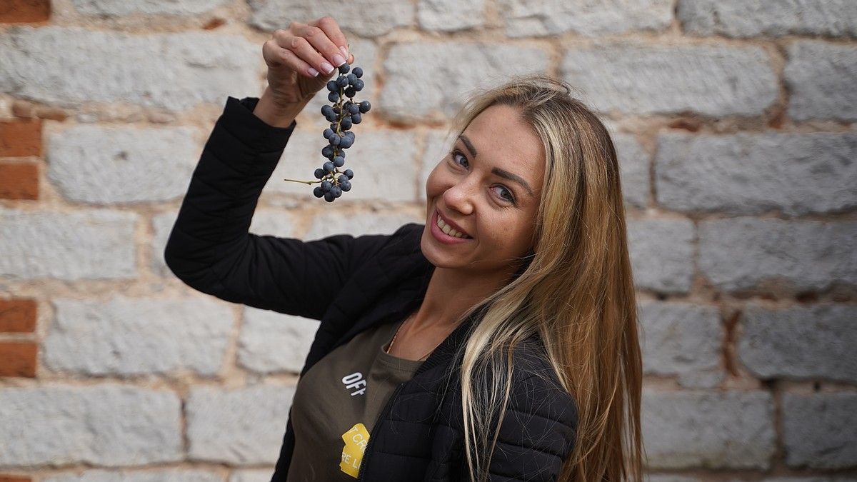 За 12 лет производство вина в Крыму выросло в 3,5 раза