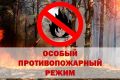 ������������� ��������������� ������ ���������� ���� ���������� � ���, ��� � 24 ���� 2026 ���� �� ���������� ���������� ���� ��������� ������ ��������������� �����