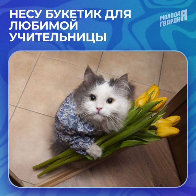 Сегодня в нашей стране отмечается День знаний! Сегодня в нашей стране отмечается День знаний!