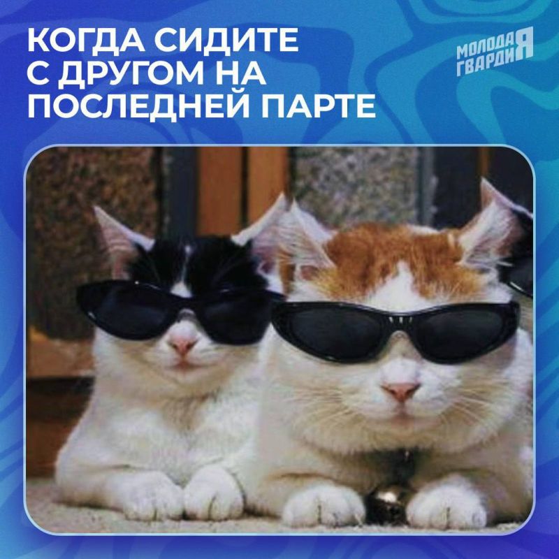 Сегодня в нашей стране отмечается День знаний! Сегодня в нашей стране отмечается День знаний!