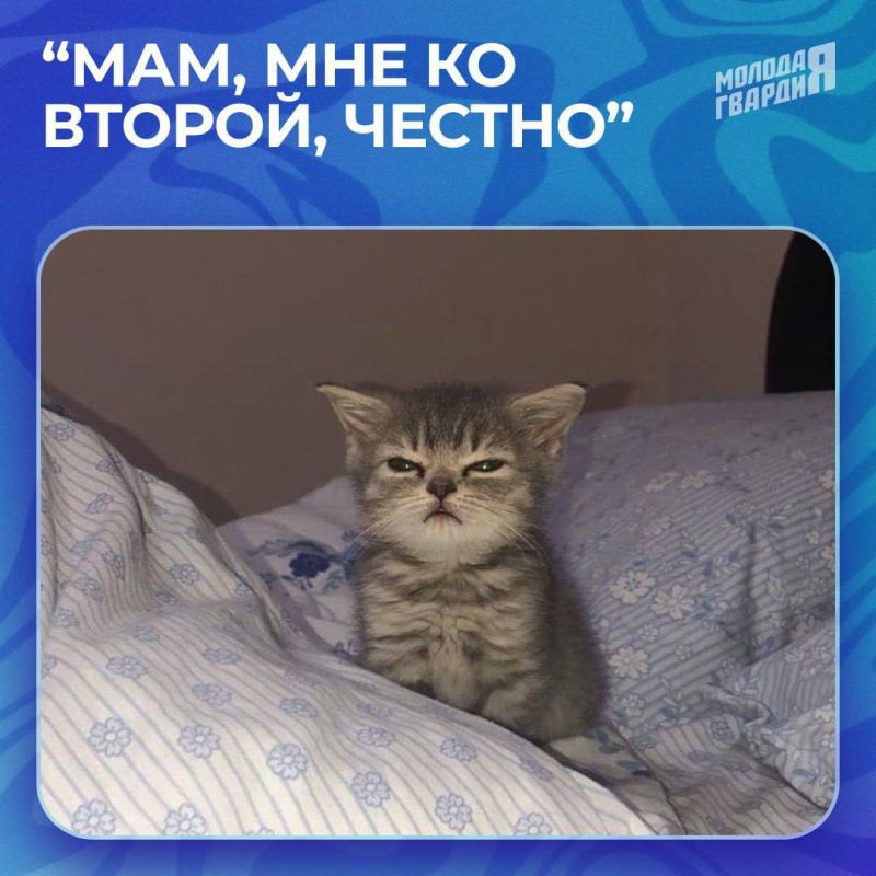 Сегодня в нашей стране отмечается День знаний! Сегодня в нашей стране отмечается День знаний!