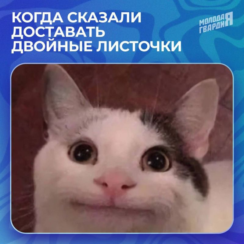Сегодня в нашей стране отмечается День знаний! Сегодня в нашей стране отмечается День знаний!