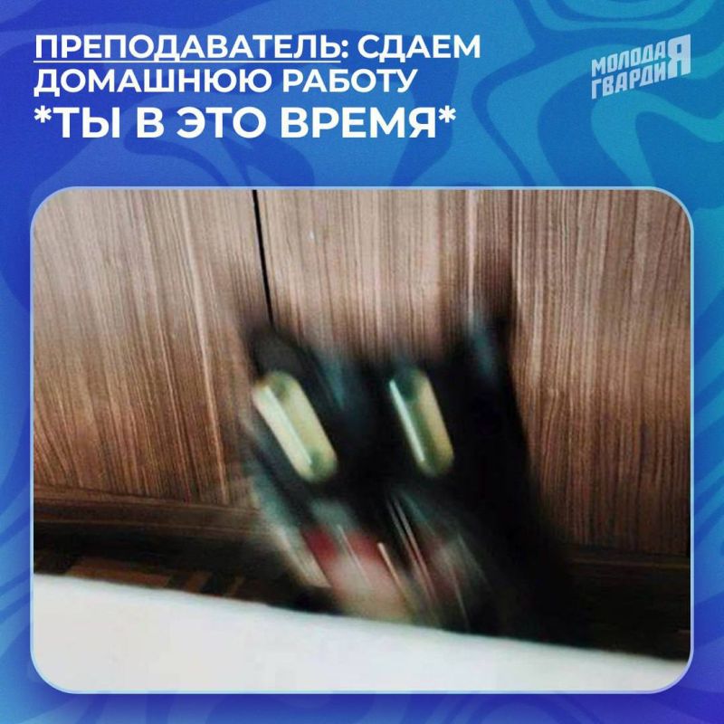 Сегодня в нашей стране отмечается День знаний! Сегодня в нашей стране отмечается День знаний!