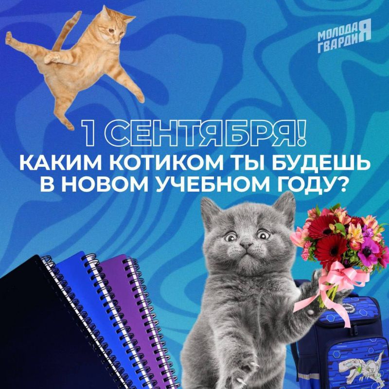 Сегодня в нашей стране отмечается День знаний!