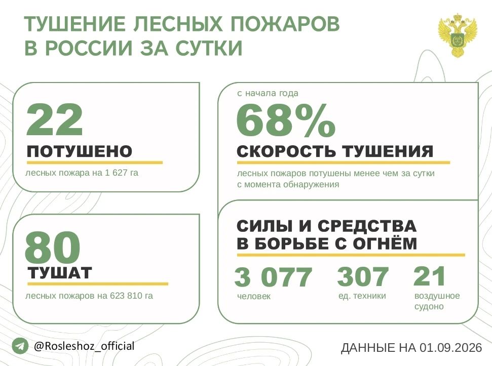 За прошедшие сутки в 14 регионах России потушили 22 лесных пожара