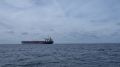 Ekonomim: атаки ВСУ на суда в Черном море ударили по экспорту Турции