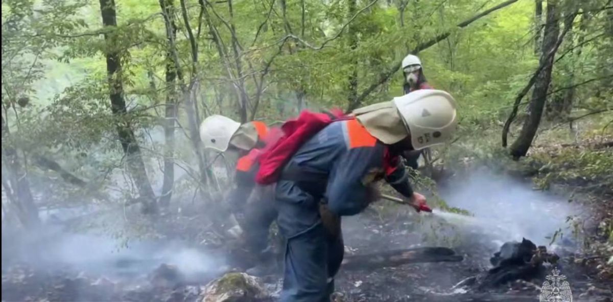 Лесной пожар в Бахчисарайском районе локализован на площади 4,5 гектара
