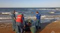 В Азовском море двое мужчин утонули, спасатели ищут еще одного
