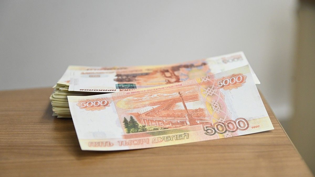 Бизнесмен из Петербурга предстанет перед судом за уклонение от налогов на 86 млн рублей