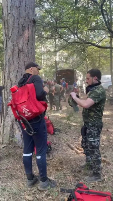Борьба с огнём в Ялте продолжается Борьба с огнём в Ялте продолжается
