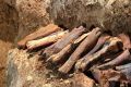 В пещере в Крыму за восемь лет нашли три тонны костей доисторических животных