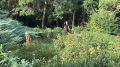 Погода в Симферополе 2 сентября :