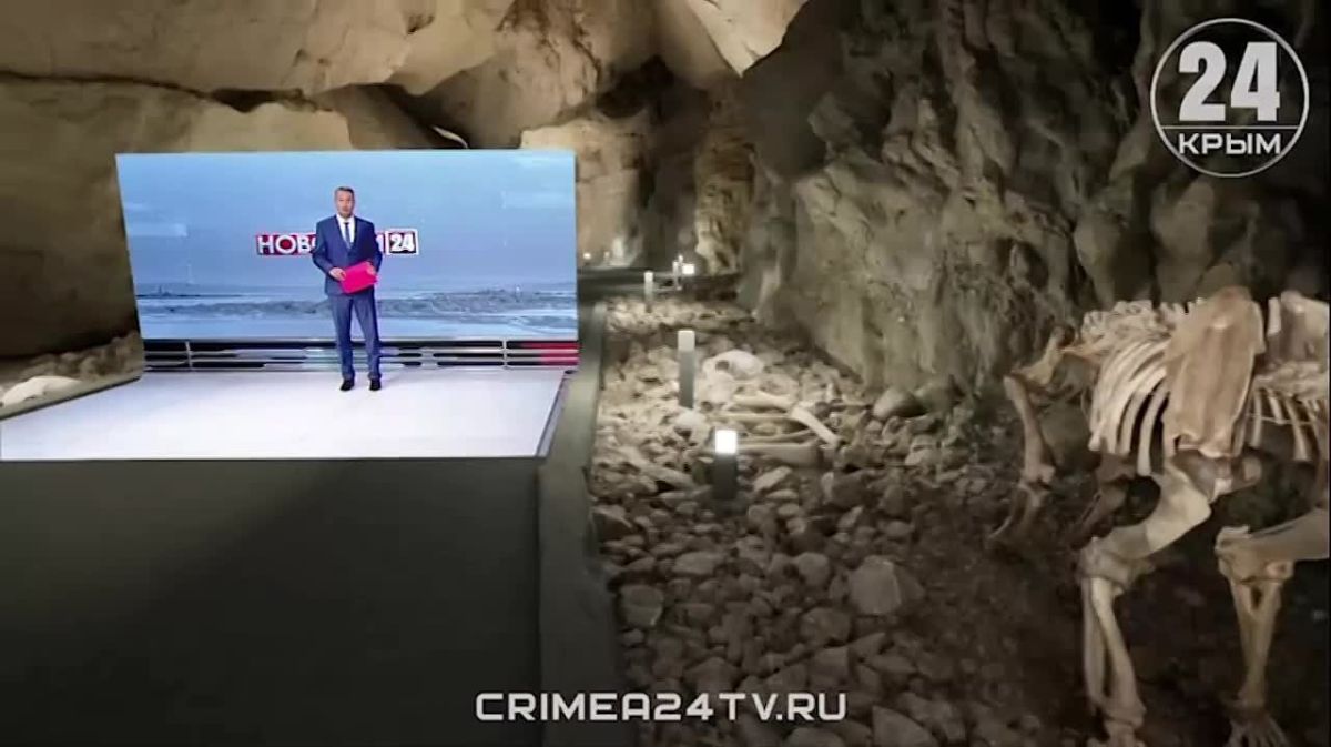 Палеонтологические исследования в пещере «Тарвида» в Крыму официально завершены