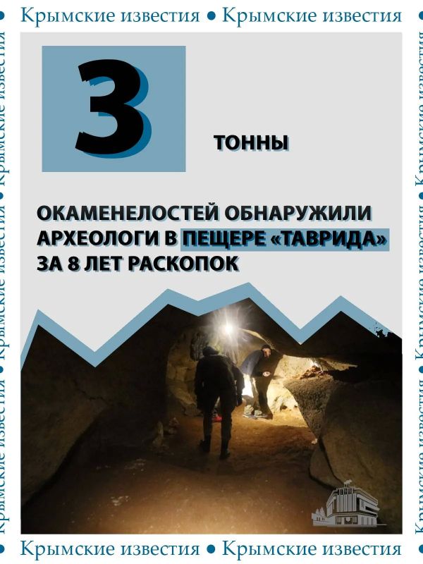 3 тонны костей древних животных собрали в пещере «Таврида» за восемь лет работы