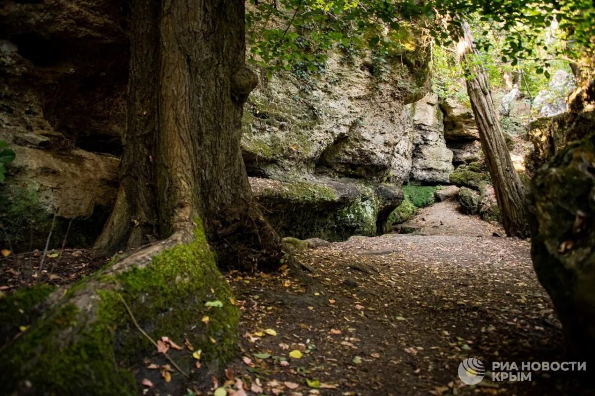 Красота ранней осени в Крыму – фотолента с заказника "Плачущая скала" Красота ранней осени в Крыму – фотолента с заказника "Плачущая скала"