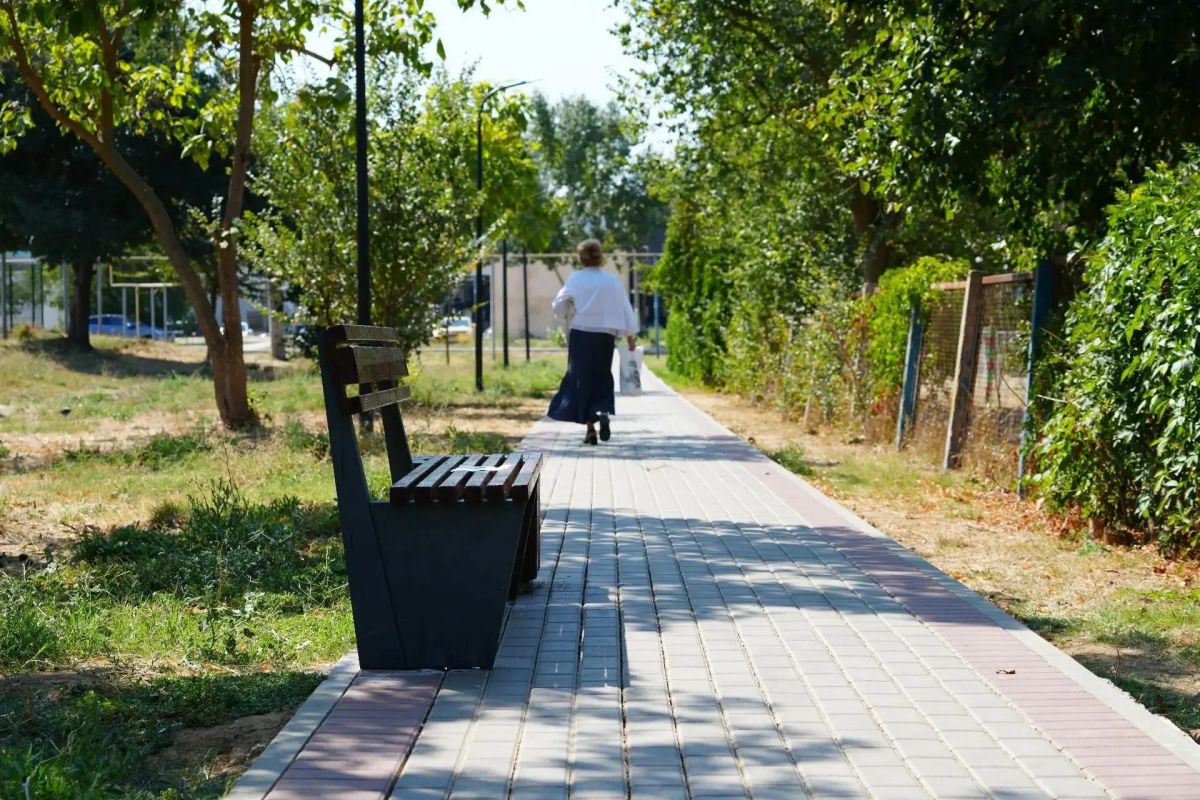 Служба городского хозяйства приводит в порядок парки и улицы города Служба городского хозяйства приводит в порядок парки и улицы города