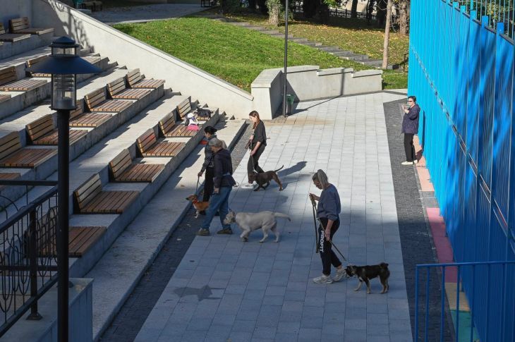 Кинолог рассказал, как отучить собаку прыгать на гостей