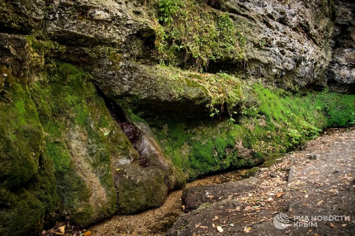 Красота ранней осени в Крыму – фотолента с заказника "Плачущая скала" Красота ранней осени в Крыму – фотолента с заказника "Плачущая скала"