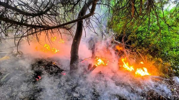 Чрезвычайную пожароопасность в Крыму продлили до 8 сентября