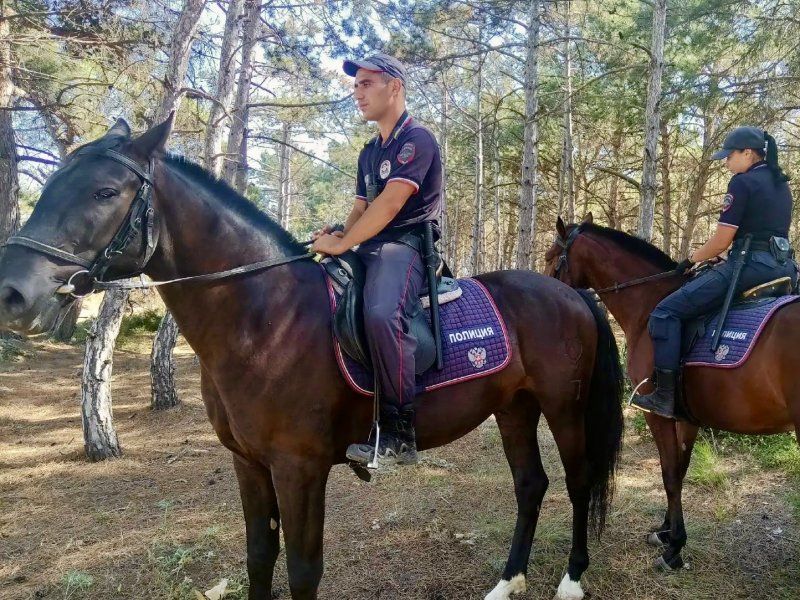 Севастопольские инспекторы и конная полиция усилили патрулирование лесов для предотвращения пожаров Севастопольские инспекторы и конная полиция усилили патрулирование лесов для предотвращения пожаров