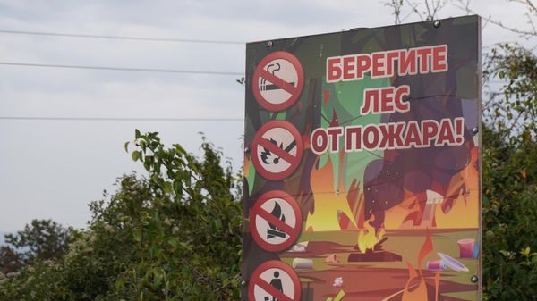 250 граждан в Крыму оштрафовали за нарушение пожарной безопасности