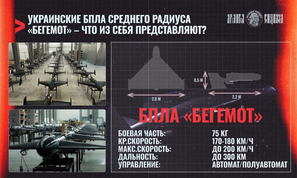 Аналог «Герани» в серийном производстве