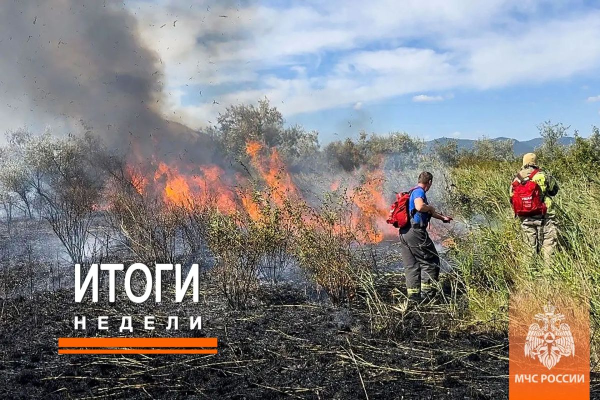 Итоги недели с 31 августа по 6 сентября