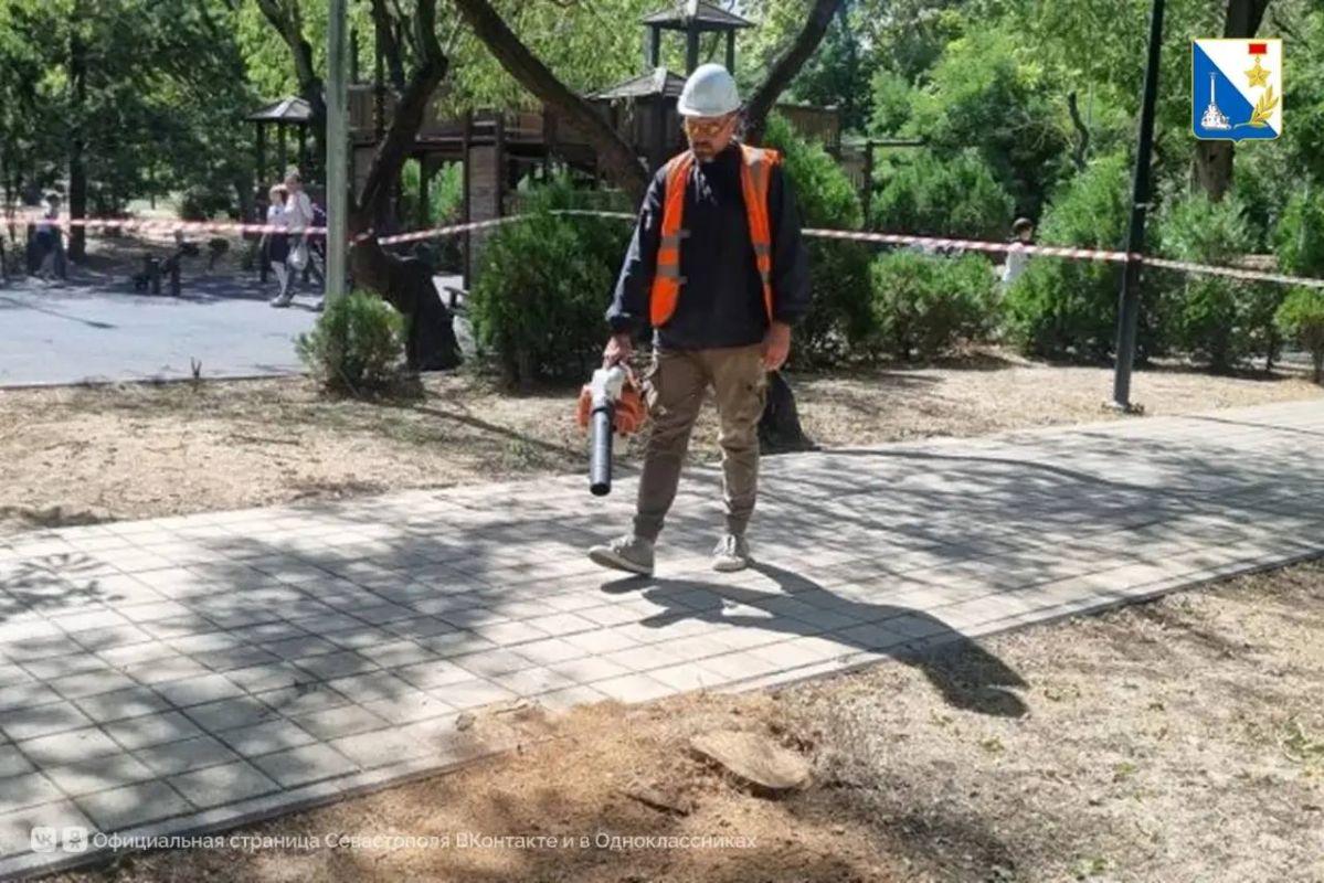 В парках Севастополя убирают сухостой и обрезают ветки перед осенними ветрами В парках Севастополя убирают сухостой и обрезают ветки перед осенними ветрами