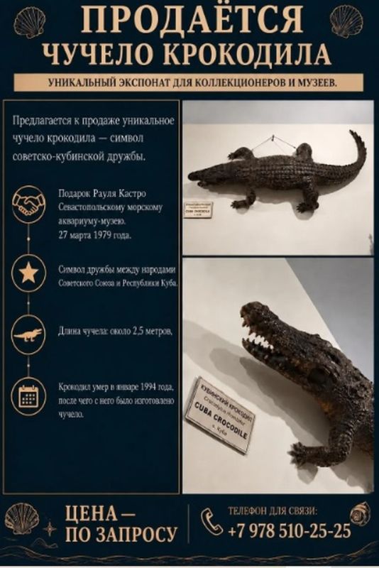 Чучело крокодила от Рауля Кастро и гигантский омар: Севастопольский аквариум продает ценные экспонаты из-за кризиса Чучело крокодила от Рауля Кастро и гигантский омар: Севастопольский аквариум продает ценные экспонаты из-за кризиса