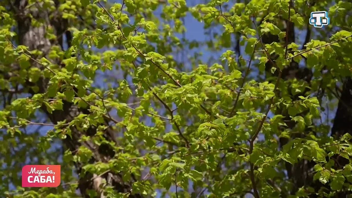 Интернет-зависимость: как она возникает и чем опасна?