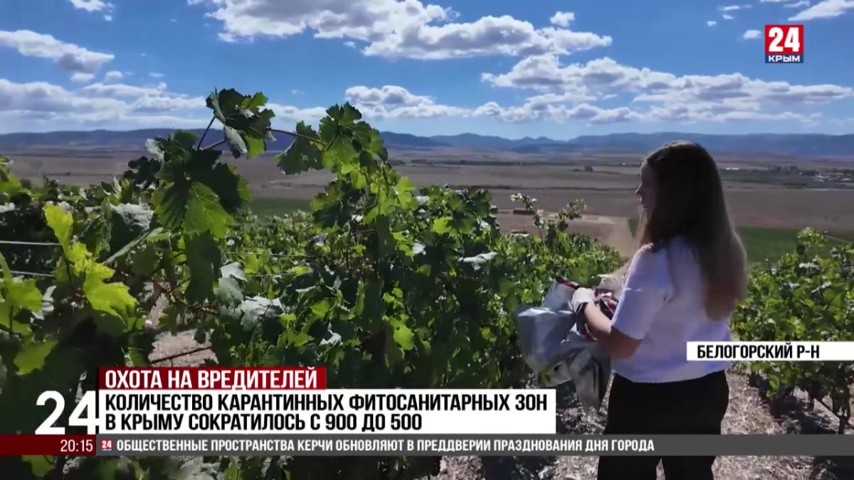 Количество карантинных фитосанитарных зон в Крыму сократилось с 900 до 500