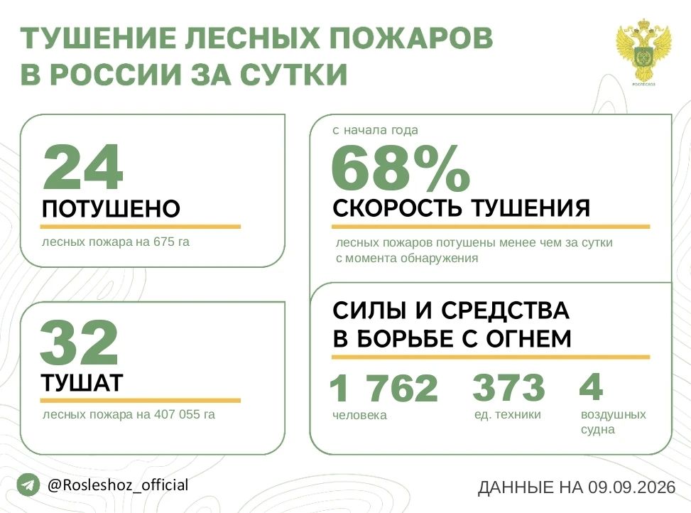 За прошедшие сутки в 10 регионах России потушили 24 лесных пожара